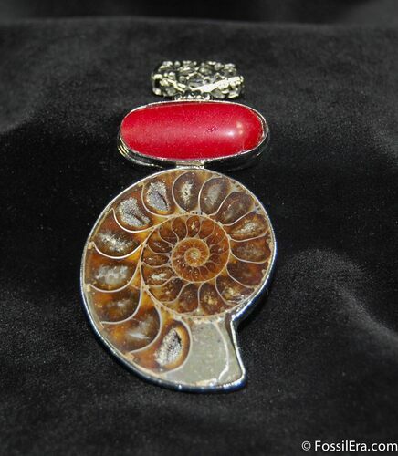 Beautiful Ammonite Pendant #653
